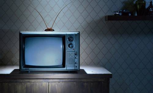 Dia na História: Dia Mundial da Televisão