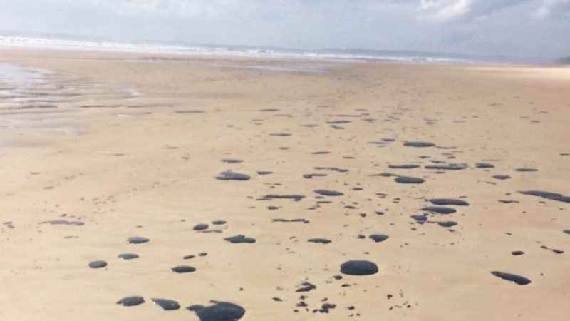 Manchas de óleo são encontradas em praias de Ilhéus, no sul da Bahia