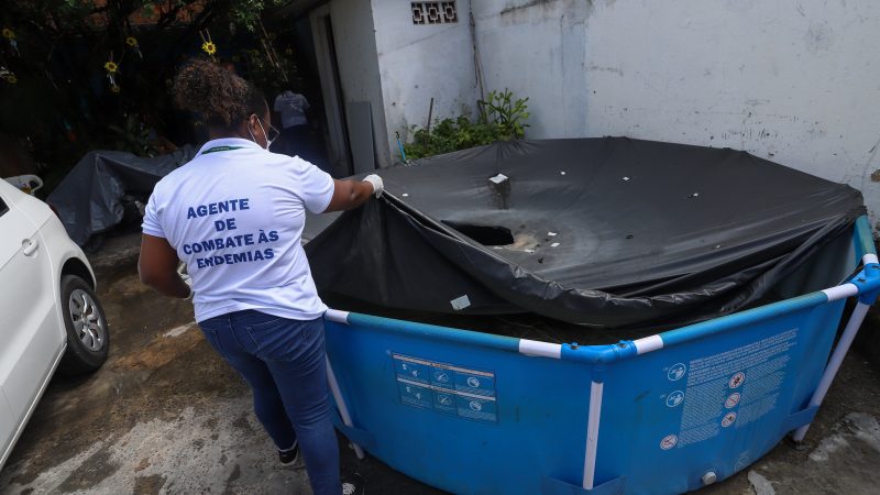 CCZ de Lauro de Freitas intensifica ações de prevenção e controle da Dengue