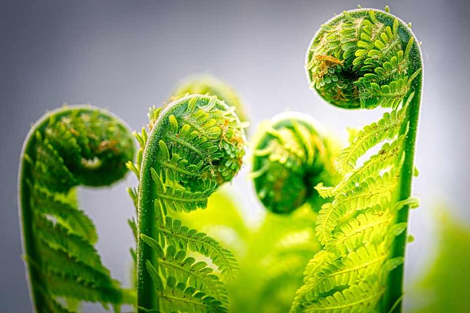 Inmet emite alerta laranja para onda de calor em 10 estados e no DF